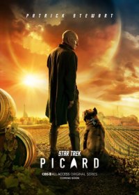 Звёздный путь: Пикар (1 сезон: 1-10 серии из 10) (2020) WEBRip 1080p | Gears Media