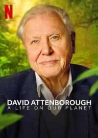 Дэвид Аттенборо: Жизнь на нашей планете (2020) WEBRip 1080р | VSI Moscow
